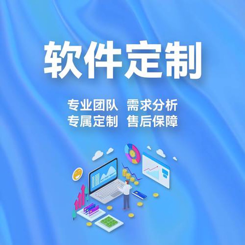 企业管理系统开发:构建高效运营的基石